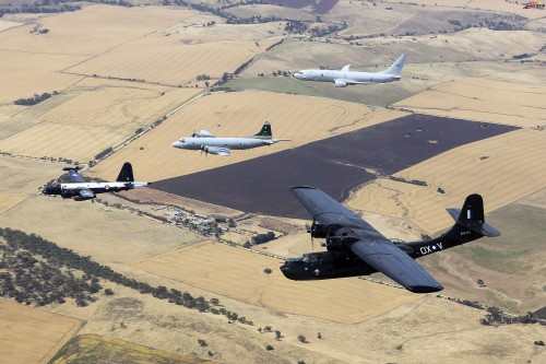 Rookie赛事官方发布问鼎冠军新规,澳大利亚队争议不断!的简单介绍 Rookie赛事官方发布问鼎冠军新规,澳大利亚队争议不断!的简单介绍